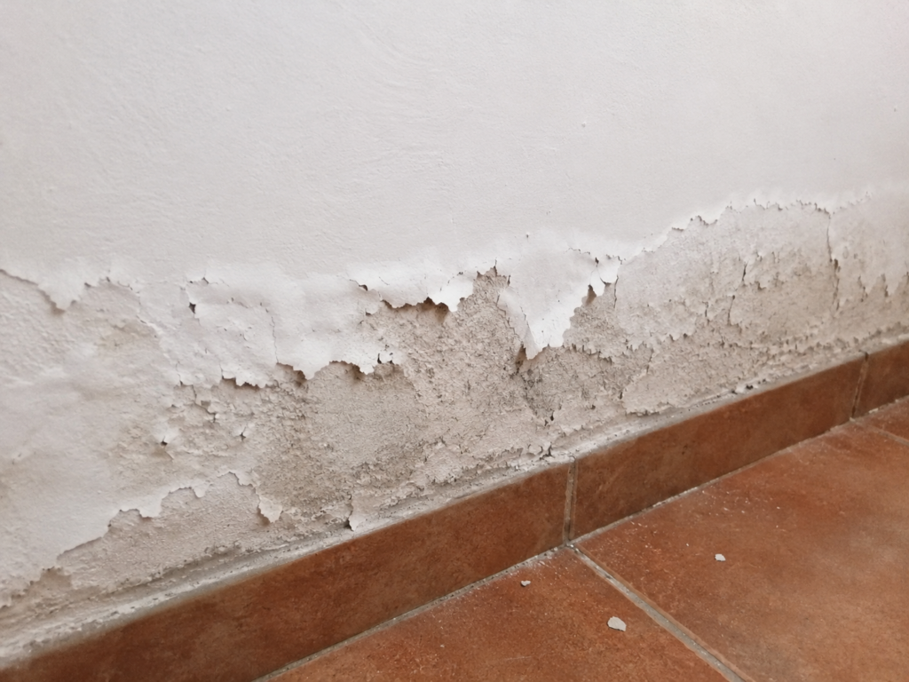 Rising damp causing peeling paint and wall damage near floor level