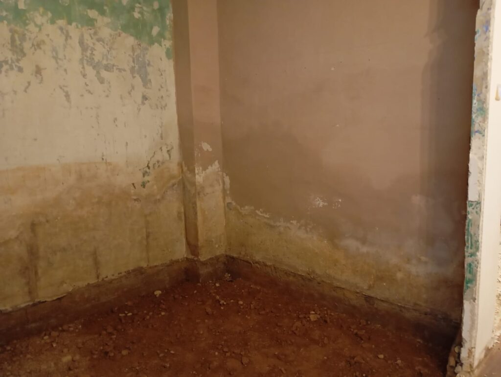 Severe rising damp affecting the walls of an old house