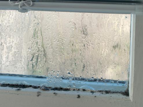 Black mould on interior wall caused by condensation and poor ventilation
