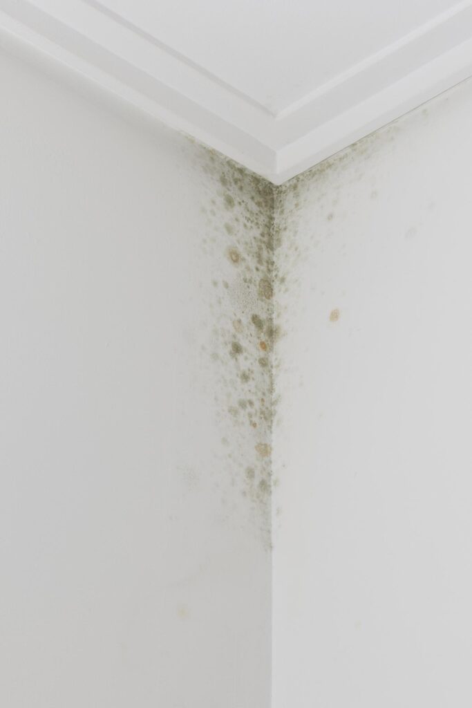 Early signs of dampness and moisture damage inside a house