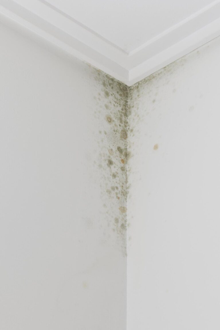 Early signs of dampness and moisture damage inside a house
