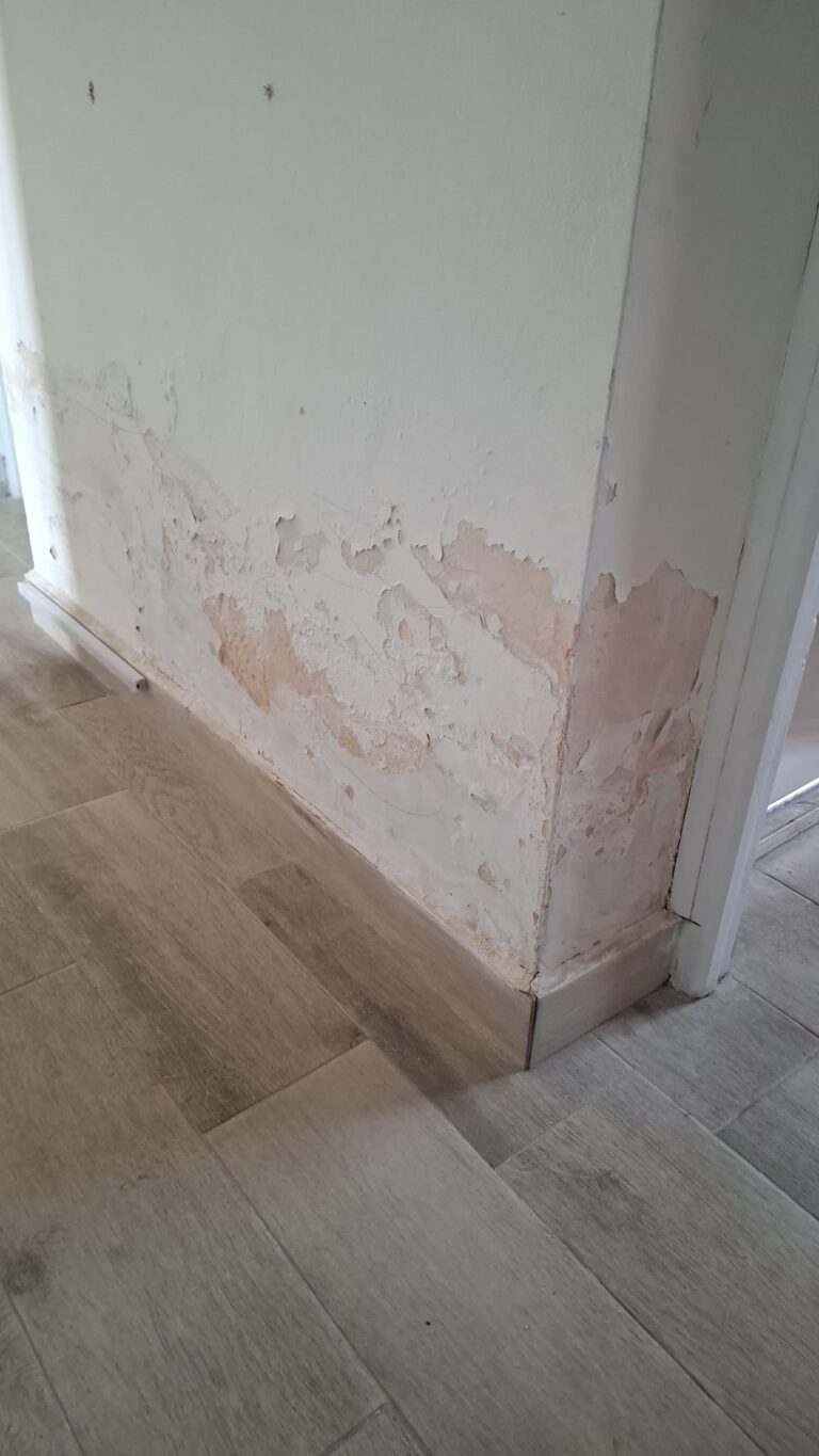 Wall dampness and peeling plaster caused by rising damp